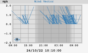 Wind Vector